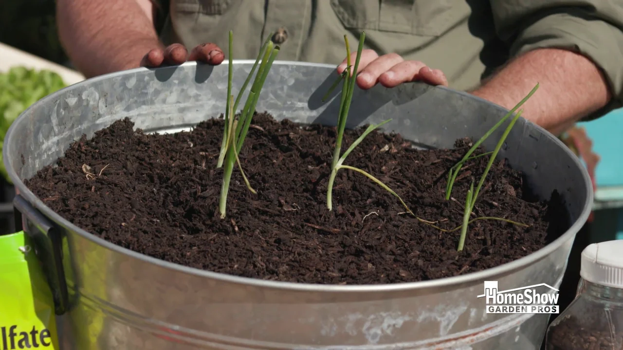 Edible Flower Gardening — Enchanted Gardens