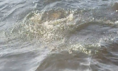 New Bern Report Video 2