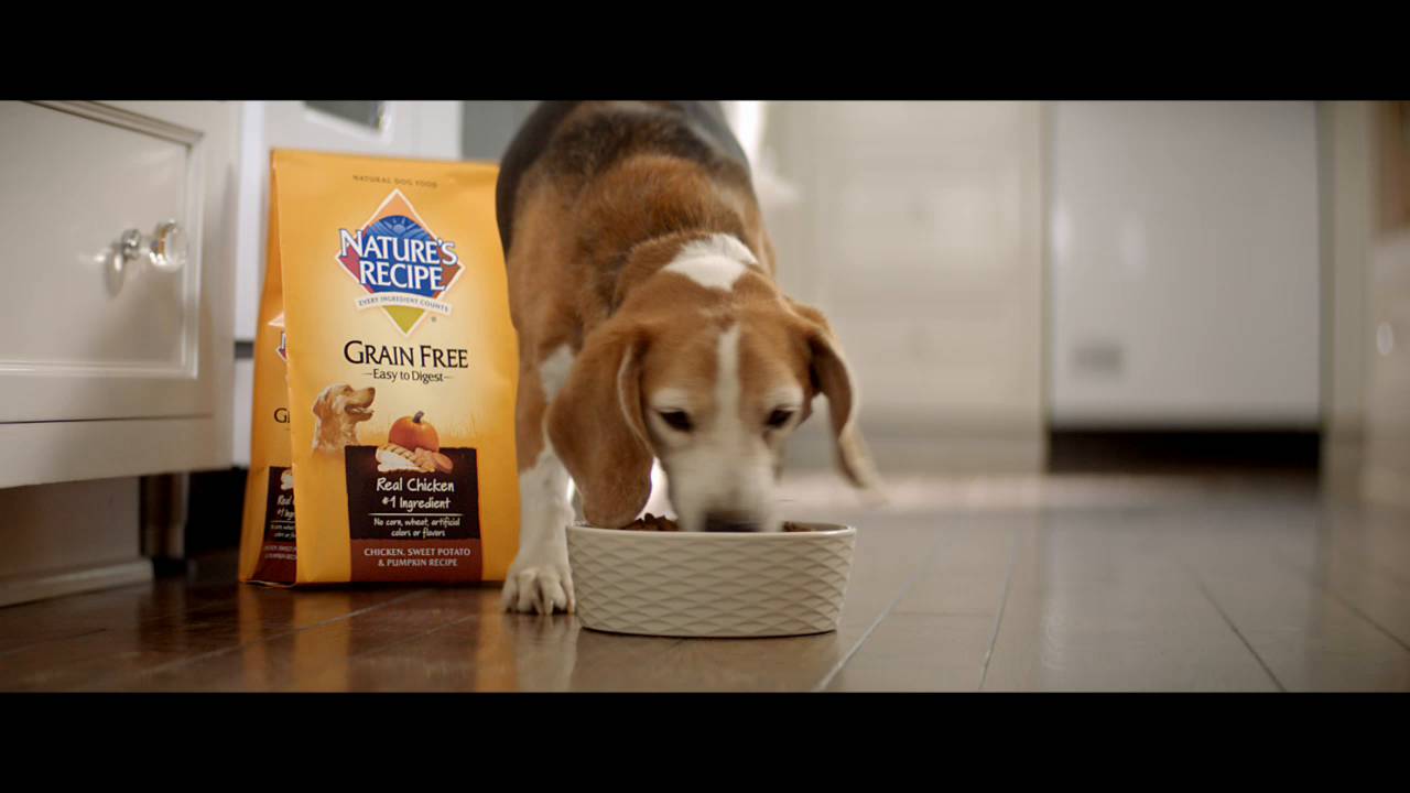 nature's recipe large breed dog food