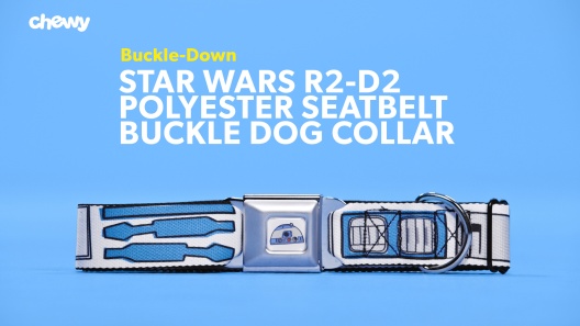 Buckle Down Star Wars Boba Fett Seatbelt Buckle Pet Collar - Small, 1 Wide - Fits 9-15 Neck