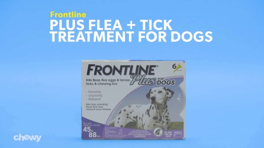 Play Video: Learn More About Frontline Plus From Our Team of Experts