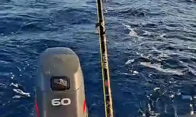 Playa Del Carmen Report Video 0