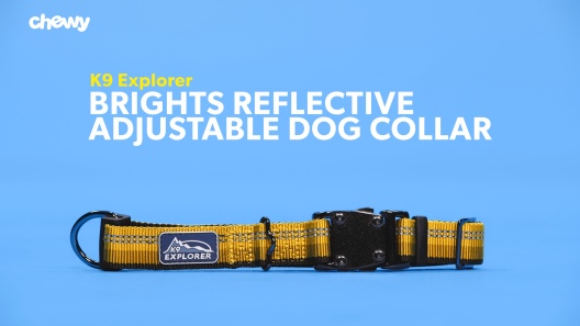 Play Video: Learn More About K9 Explorer From Our Team of Experts