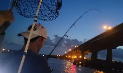 Port Orange Report Video 0