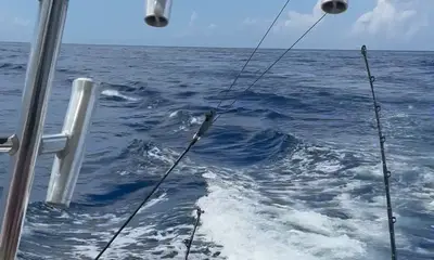 St. Thomas Report Video 2