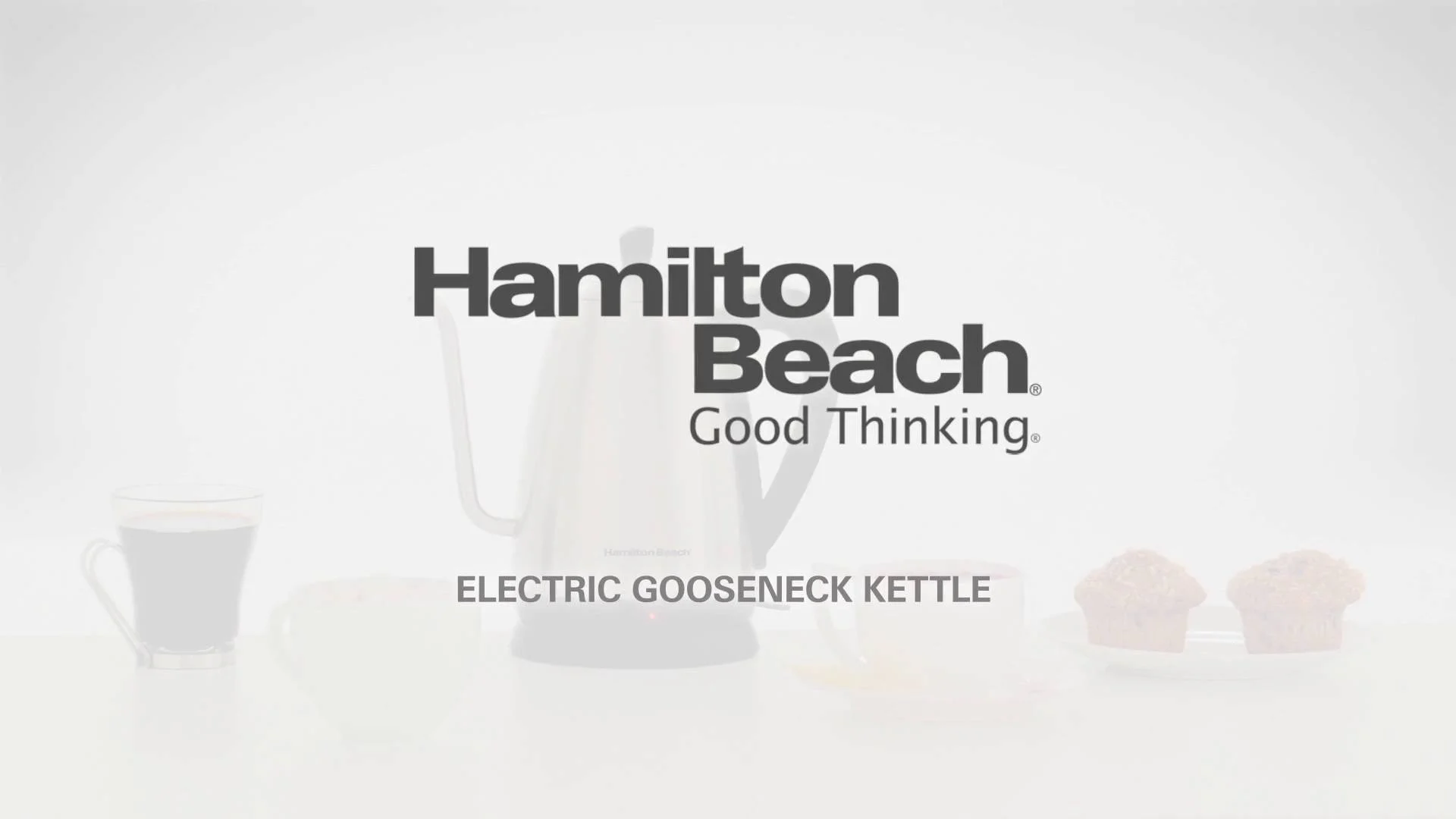 Hamilton Beach Stainless Steel Electric Tea Kettle 1.2 Liter 40899 – Good's  Store Online