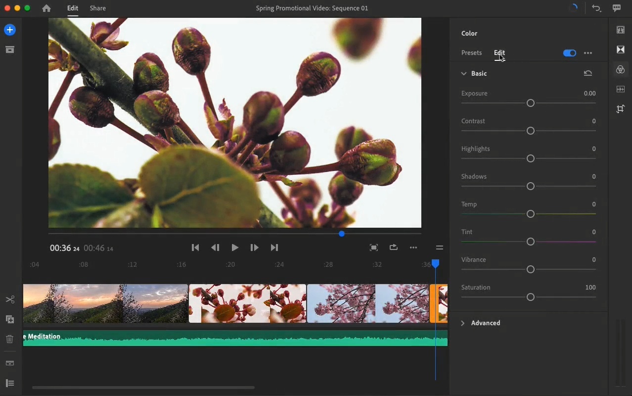 adobe video editing software