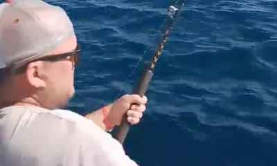 San Jose del Cabo Report Video 0