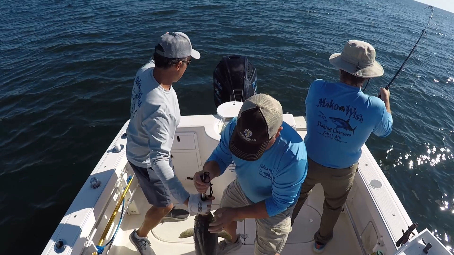 Business Card: Mako Wish Fishing Charters