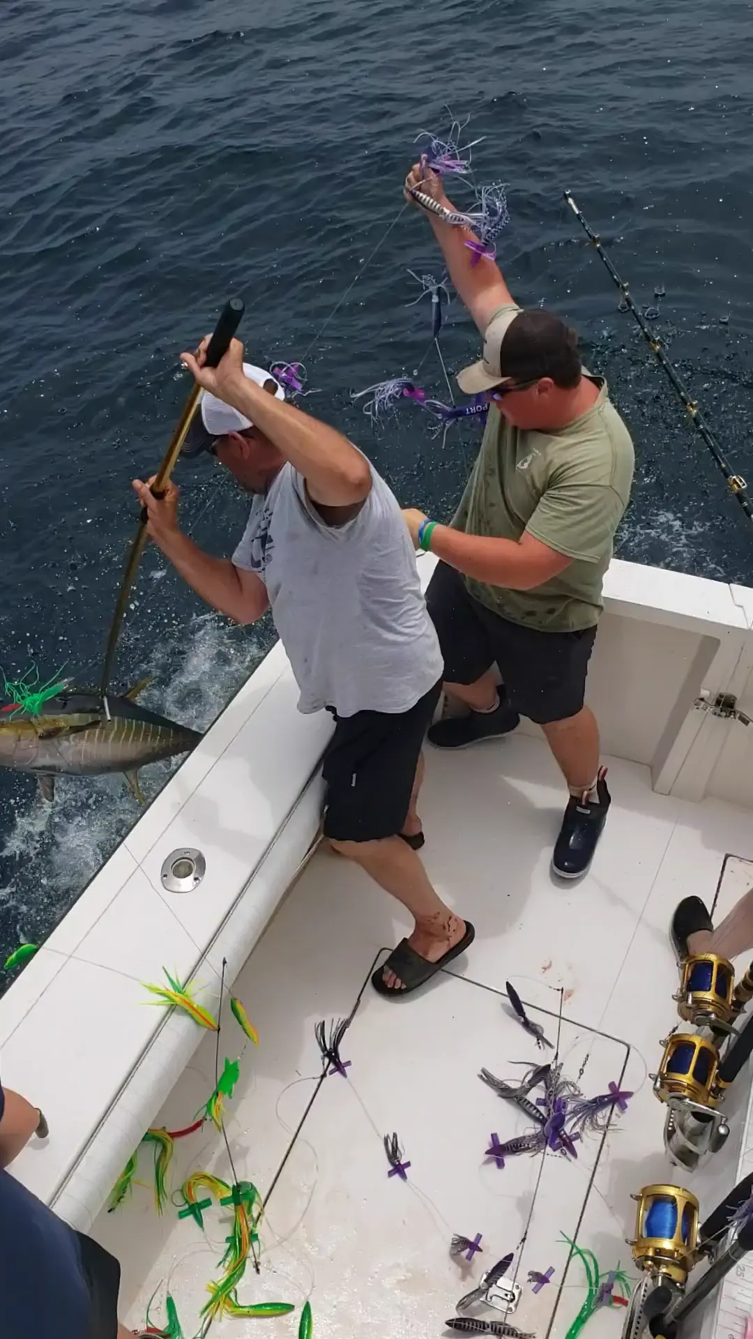 Business Card: Tale Chaser Sportfishing