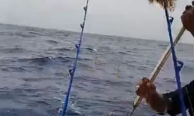 Successful Trip