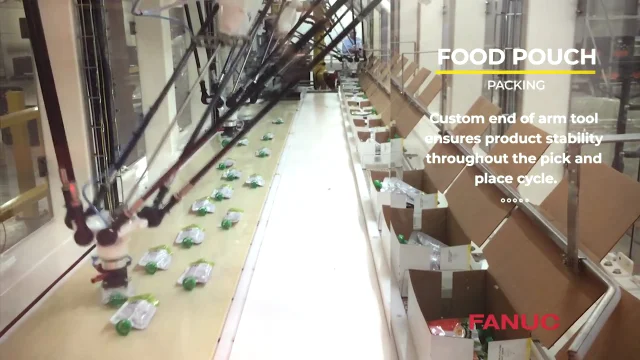 FANUC M-2 Delta robots packing food pouches