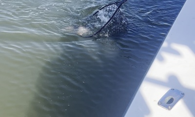 great fishing trip with Andres