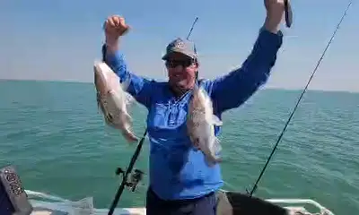 Darwin Report Video 0