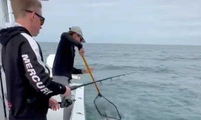 Naples Report Video 0