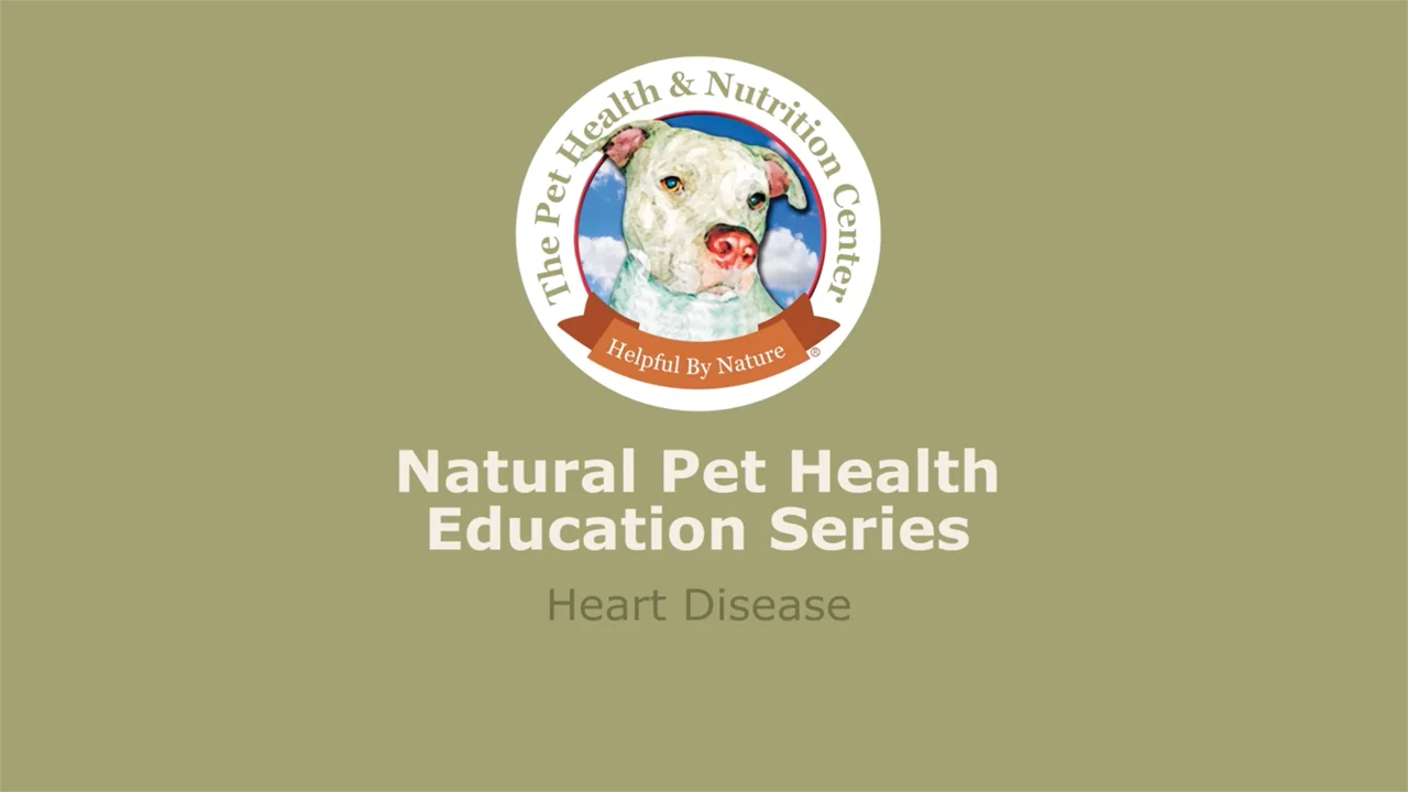 Holistic Treatment For Congestive Heart Failure In Dogs And Cats – The Pet  Health And Nutrition Center