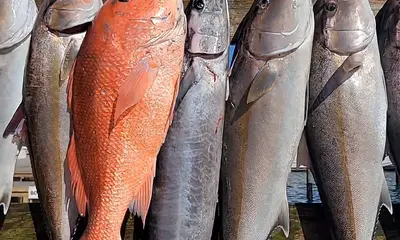 Okaloosa County Report Video 3