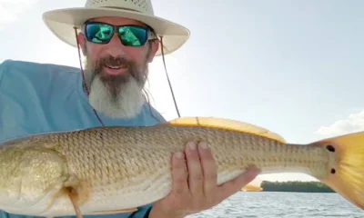 Tampa Report Video 0