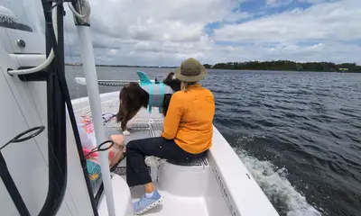 Jacksonville Report Video 0