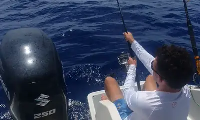 Moorea-Maiao Report Video 1