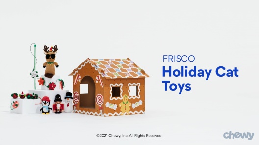 Play Video: Learn More About Frisco From Our Team of Experts