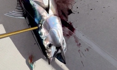 Kailua-Kona Report Video 0