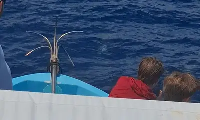 Summer Salt Dive Center Report Video 0
