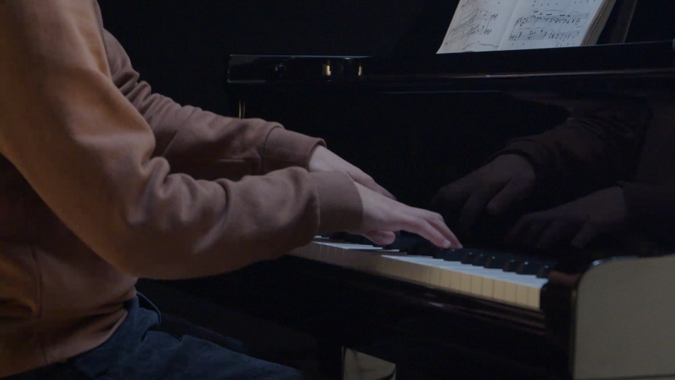 1924 Steinway Grand L