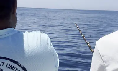 Tavira Видео отчет 3