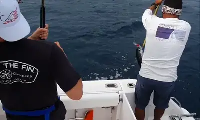 Panama City Report Video 2