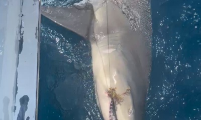 Best fishing charter ever! 