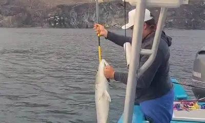 good man , working hard, it is difficult for one man job. 