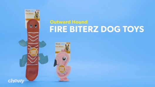 OUTWARD HOUND Fire Biterz Lizard Squeaky Dog Toy, Red, 2 squeak 