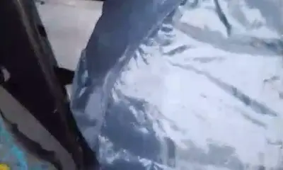 Harbour trip with Captain Rowan