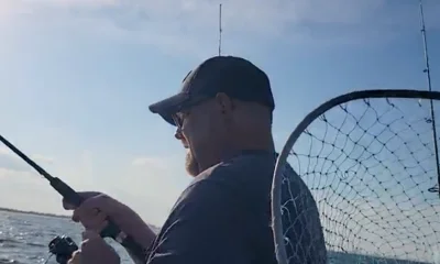 Friday Night Sharking