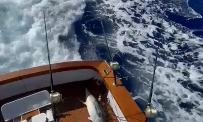 Kailua-Kona Report Video 0