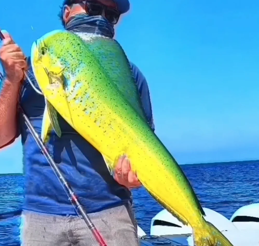 Business Card: Silva Scales n' Tales Sportfishing