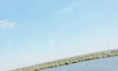 Port Sulphur Report Video 0
