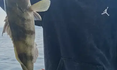 Dana Point Report Video 0