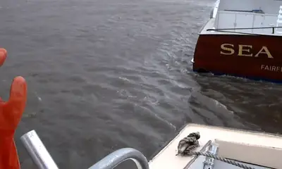 Hatteras Report Video 1