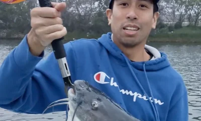 San Antonio Report Video 0