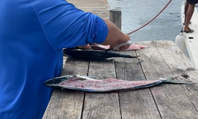 Nice morning fishing trip