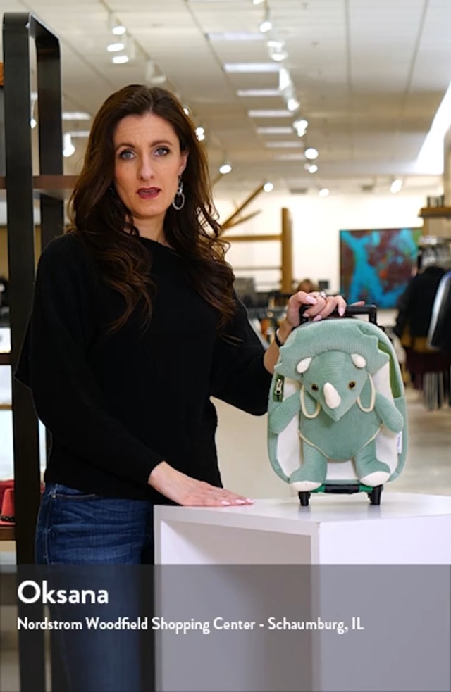 Wistia video thumbnail