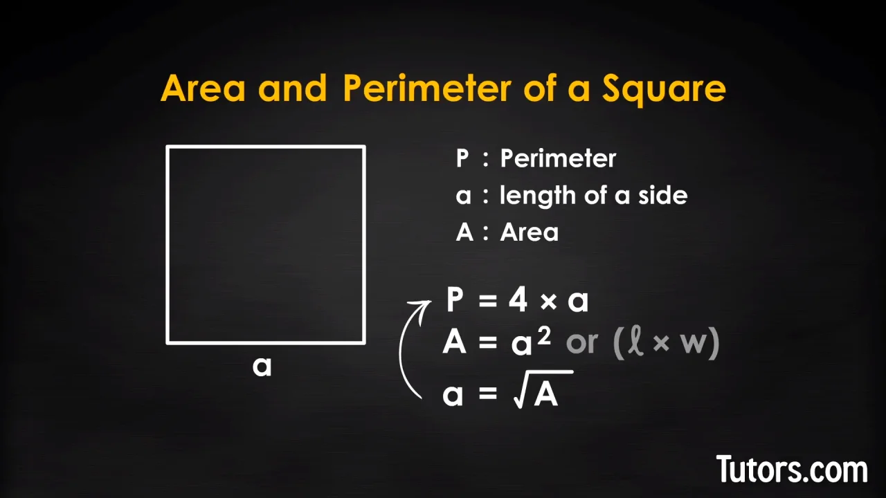 perimeter and area of a square