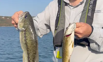 Branson Report Video 0