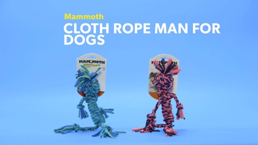 Play Video: Learn More About Mammoth From Our Team of Experts