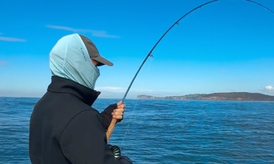 Sydney Report Video 0