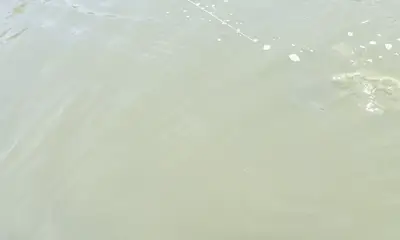 Very good trip! First time here in Florida had a blast with Baileys! Highly recommend it!