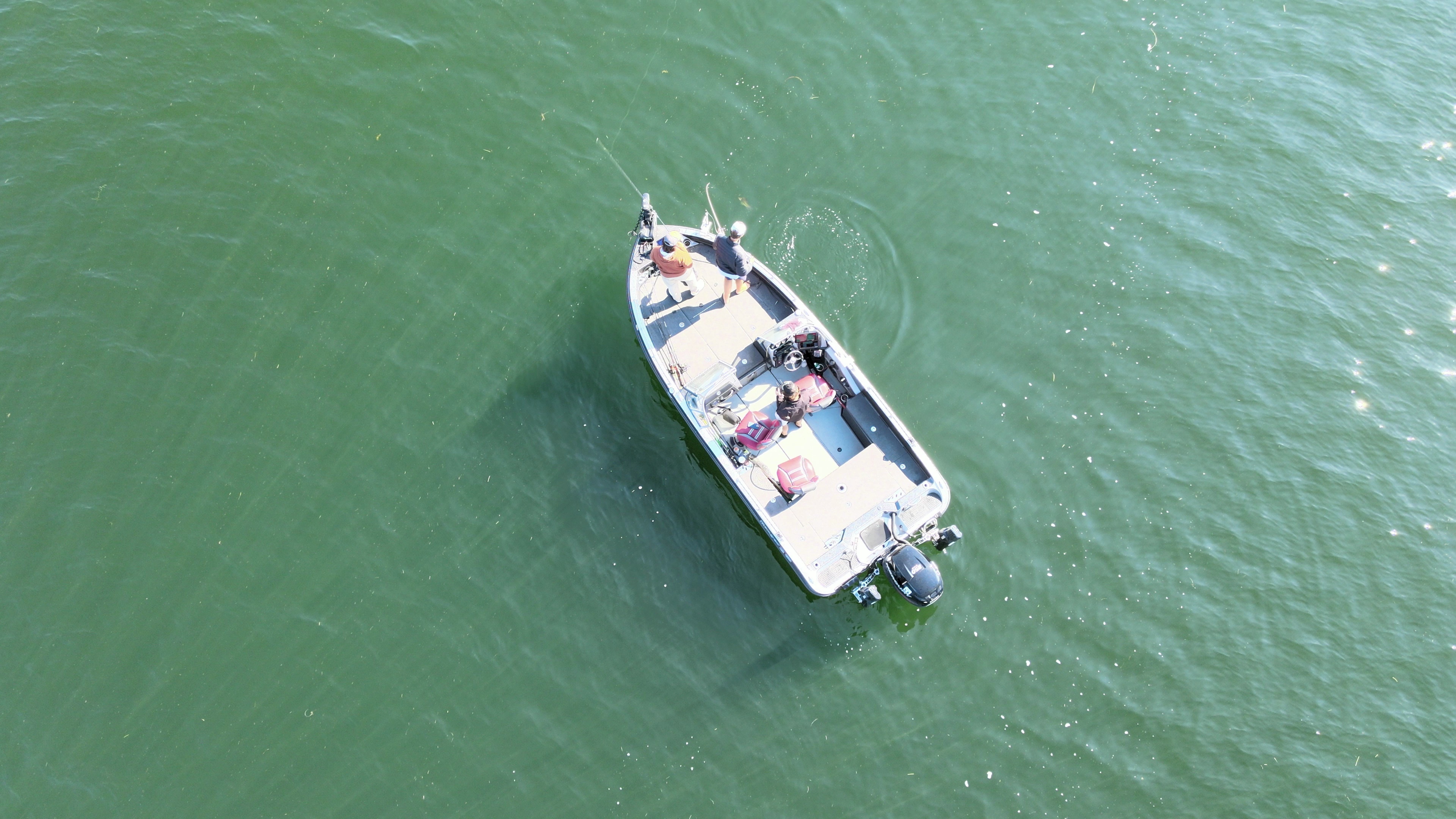 Business Card: Hooked on Tonka