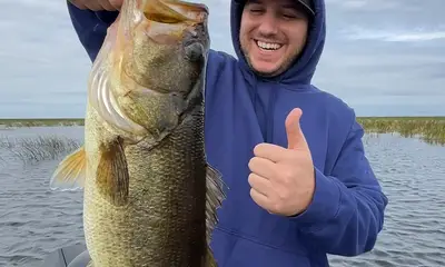South Bay Report Video 0
